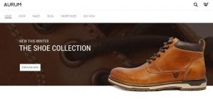 aurum-fashion-store-wordpress-theme