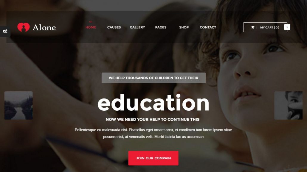 alone-charity-wordpress-theme