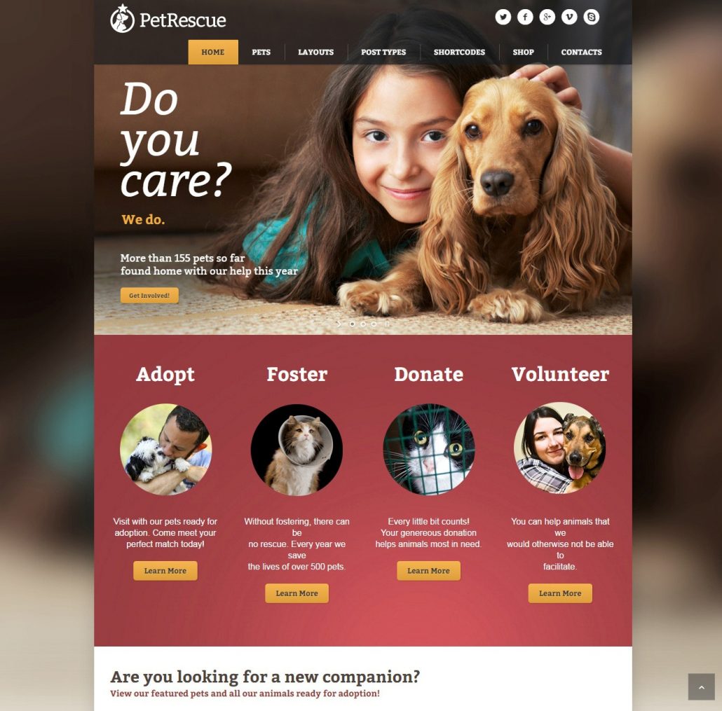 pet-rescue-charity-wordpress-theme