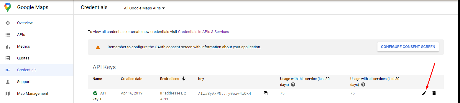 Google Map Console Api Key Edit 