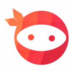 NinjaTeam Avatar