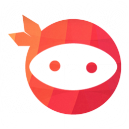 Ninja Team Logo