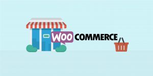 best woocommerce wordpress plugins