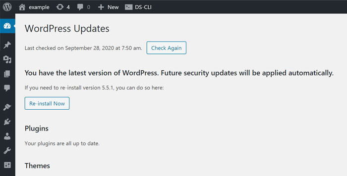 update wordpress core