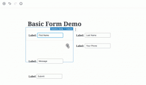 wordpress form builder demo