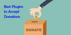 donation plugins with wordpress