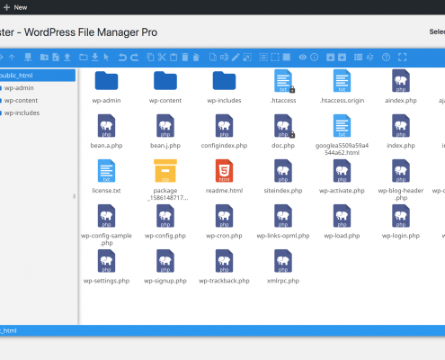 Filester wordpress file manager