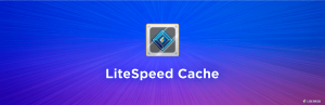 lightspeed cache