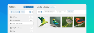 organize WordPress media library with filebird folders