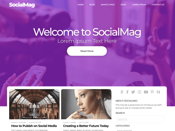 SocialMag free wordpress community theme