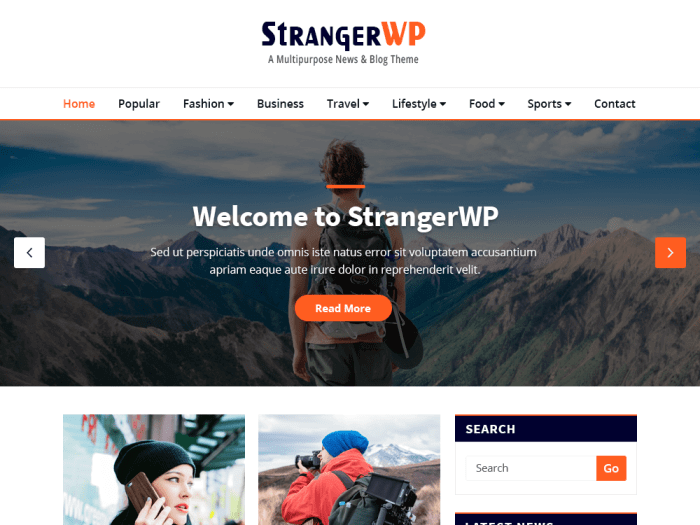 StrangerWP community theme