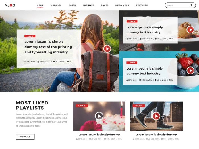 Vlog - a free wordpress community theme