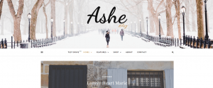 Ashe is one of the Best Free WordPress Themes for Small Business