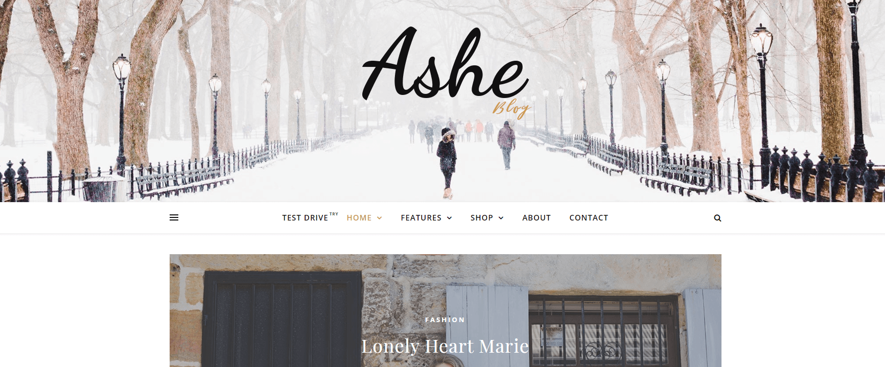 Ashe is one of the Best Free WordPress Themes for Small Business