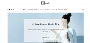 Cenote is one of the Best Free WordPress Themes for Small Business