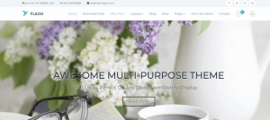 Flash is one of the Best Free WordPress Themes for Small Business