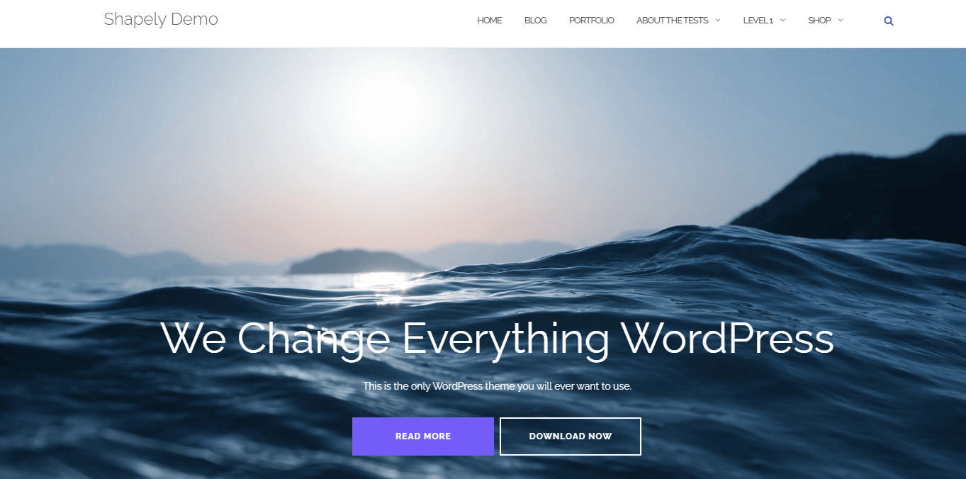 Shapely is one of the Best Free WordPress Themes for Small Business