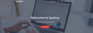 Sydney is one of the Best Free WordPress Themes for Small Business