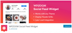 WPZoom Social Instagram Feed Plugin