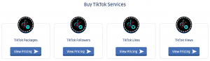 Buy TikTok services