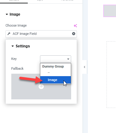 image fallback