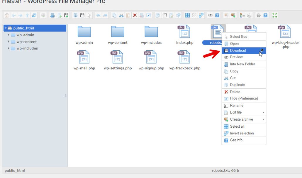 download robots.txt file - Edit Code Files Directly From Your WordPress Dashboard