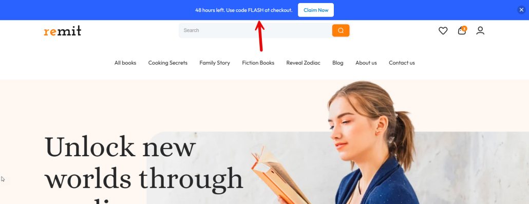 48 hours left. Use code FLASH at checkout. - WordPress notification bar examples